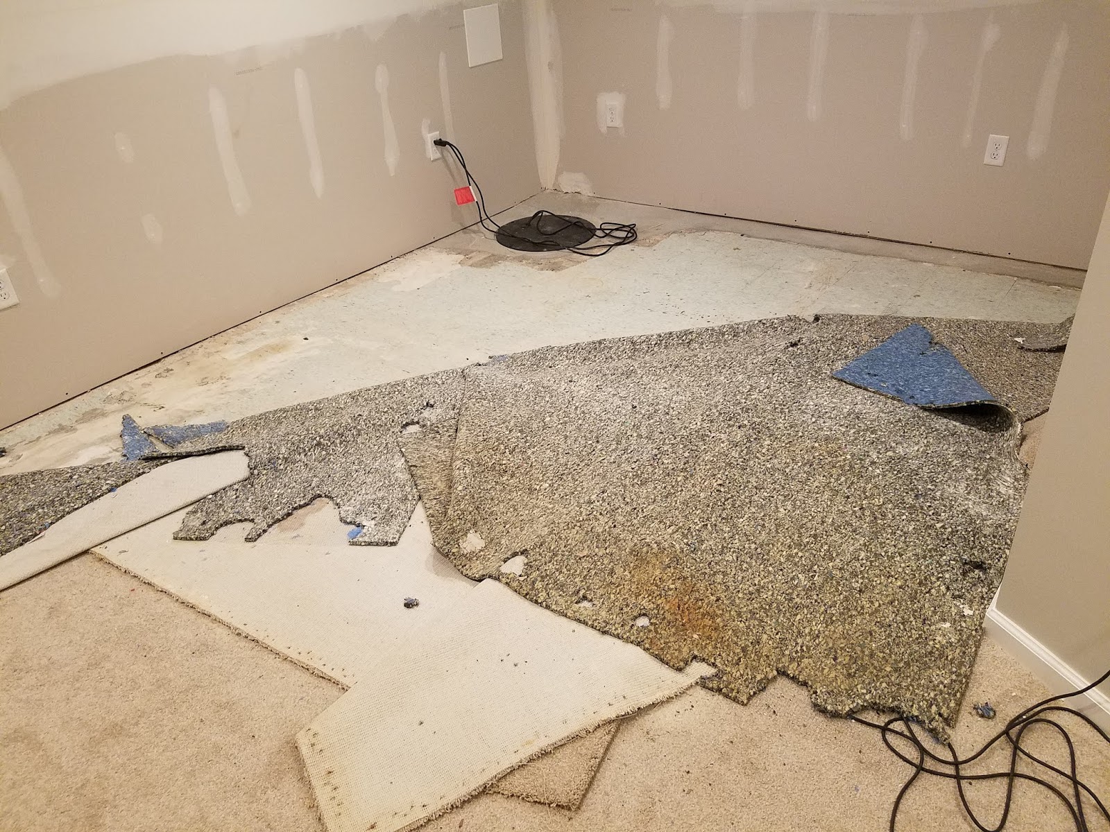 The Health Risks of Water Damaged Carpet